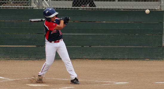 IMG_4120.jpg