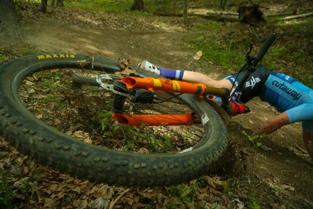 BF0T2287.jpg