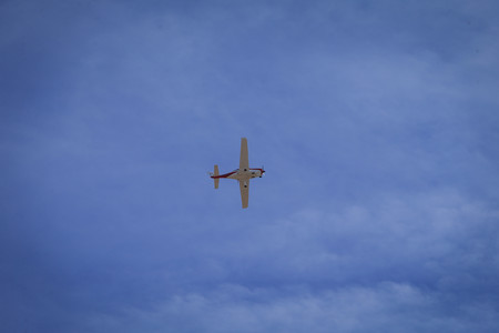 BF0T0124.jpg