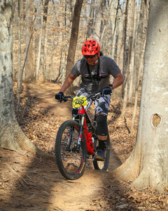 BF0T3749.jpg