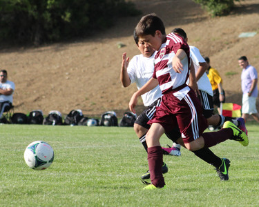 IMG_8798.jpeg