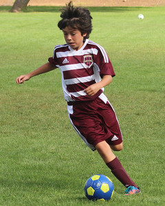 IMG_5976.jpg