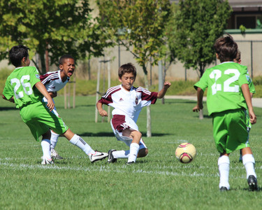 IMG_6882.jpg