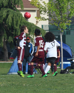 IMG_6836.jpg