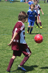 IMG_7260.jpg