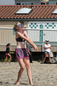IMG_8395.jpg