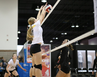 BF0T1256.jpg