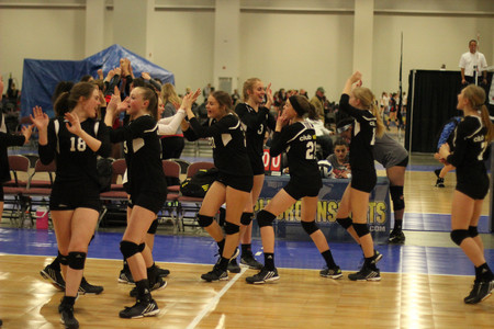 IMG_0978.jpg
