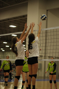 IMG_1513.jpg