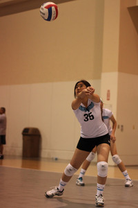 IMG_0757.jpg