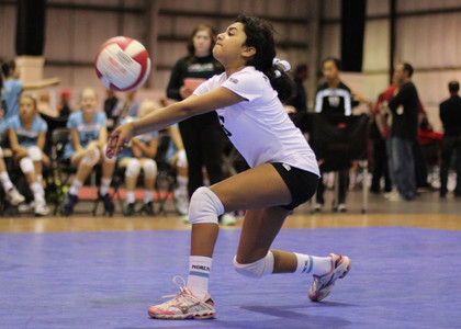 IMG_2316.jpg