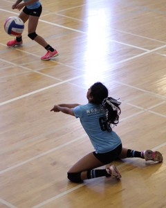 IMG_1213.jpg