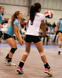 IMG_7657.jpg