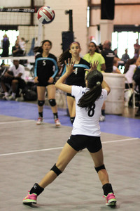 IMG_7878.jpg