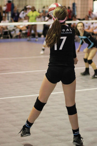 IMG_8184.jpg