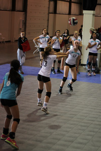 IMG_8335.jpg