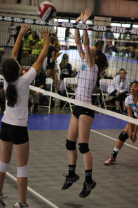 IMG_8391.jpg