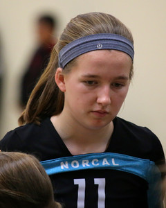 IMG_8707.jpg