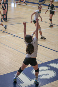 IMG_5392.jpg