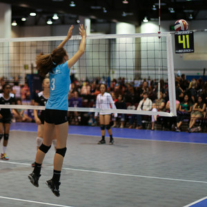 IMG_7860.jpg