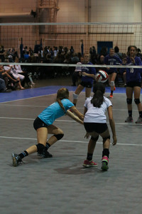 IMG_8117.jpg