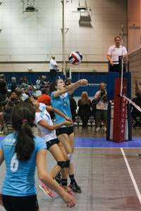 IMG_8192.jpg