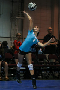 IMG_8437.jpg