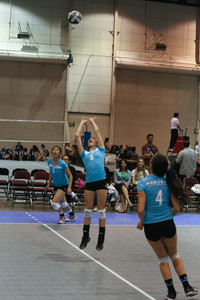 IMG_8557.jpg