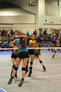 IMG_8752.jpg