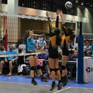 IMG_8939.jpg