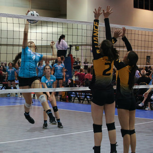 IMG_8993.jpg