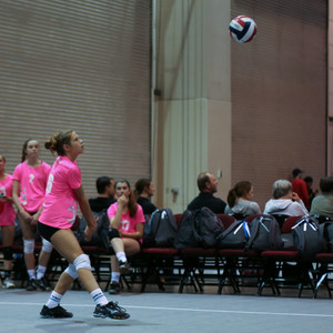 IMG_9032.jpg