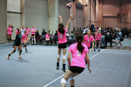 IMG_9230.jpg