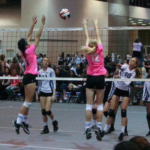 IMG_9351.jpg
