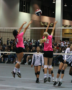 IMG_9371.jpg