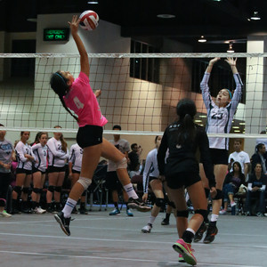 IMG_9580.jpg