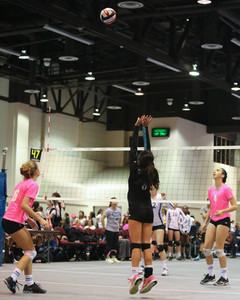 IMG_9773.jpg