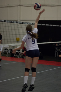 IMG_5686.jpg