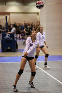 IMG_8774.jpg