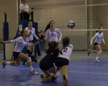IMG_6349.jpg