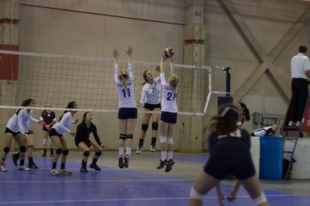 IMG_6523.jpg