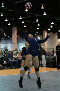 IMG_8284.jpg